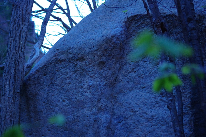 f0195813_21565410.jpg