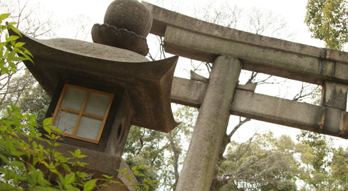 a0165018_21263378.jpg