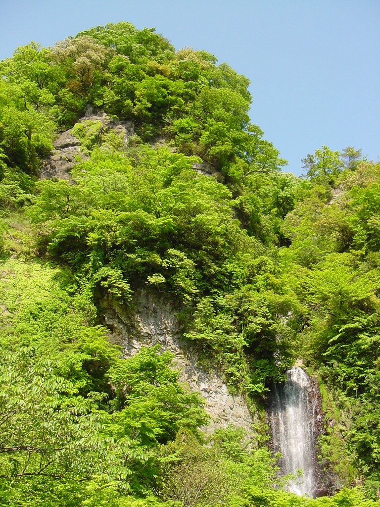 d0290219_1359944.jpg
