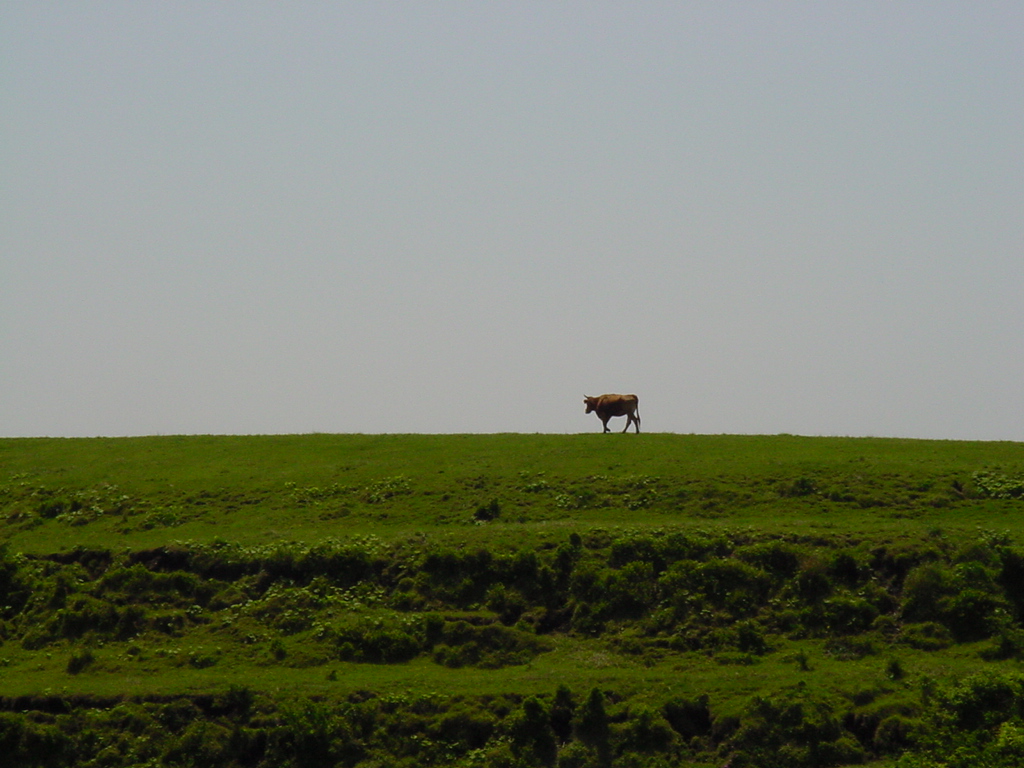 d0290219_1414454.jpg