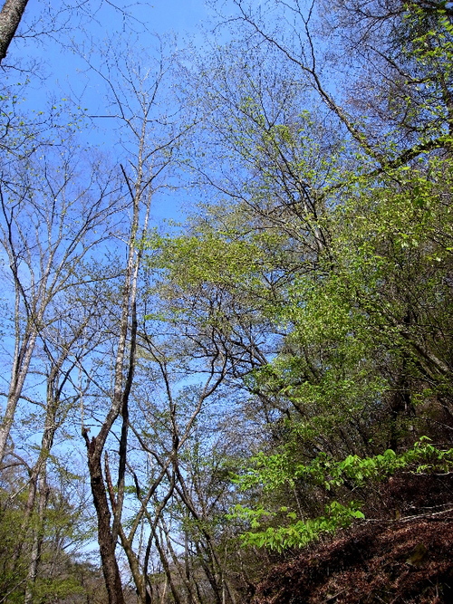 f0103126_2315192.jpg