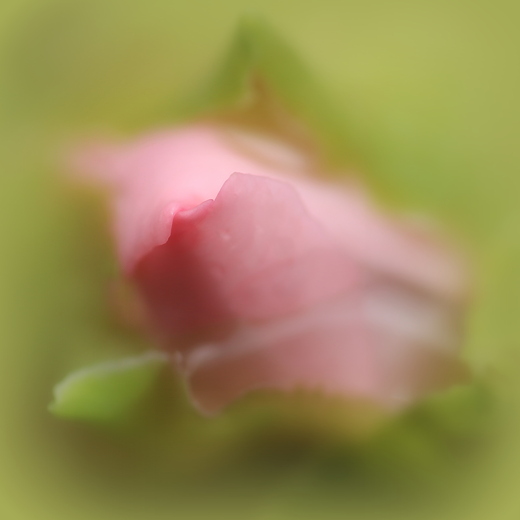 e0311229_22171893.jpg