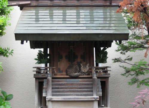 f0247039_21241892.jpg