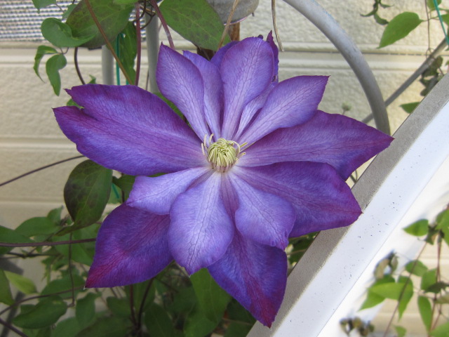 c0025140_2159793.jpg
