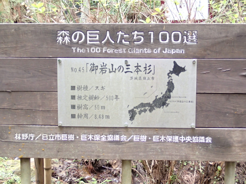 b0190242_125532.jpg