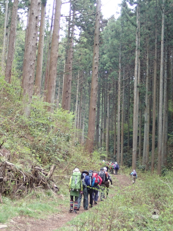b0190242_12563862.jpg