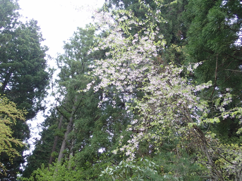 b0190242_13103534.jpg