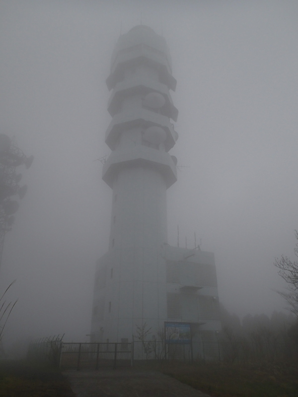b0190242_1332929.jpg