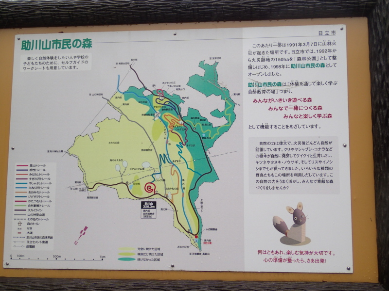 b0190242_137410.jpg