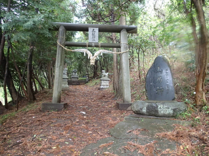 b0190242_1394167.jpg