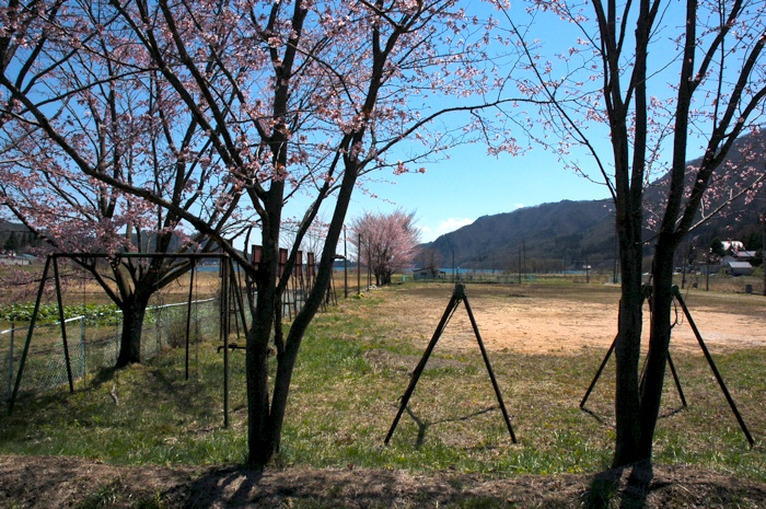 c0002943_19142119.jpg