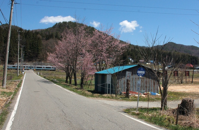 c0002943_19154865.jpg