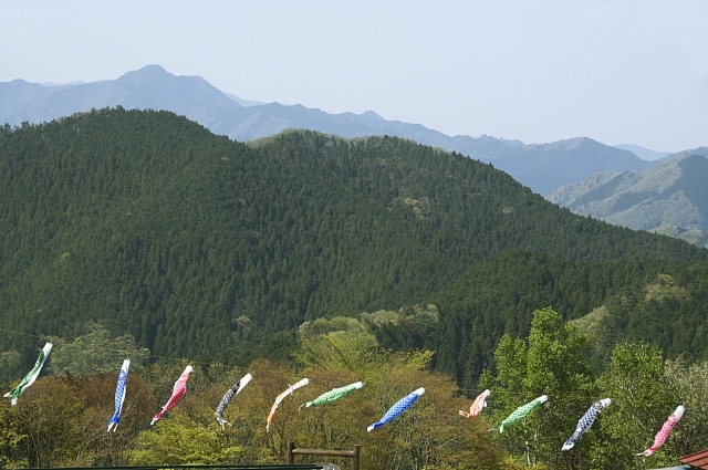 b0122448_20333428.jpg