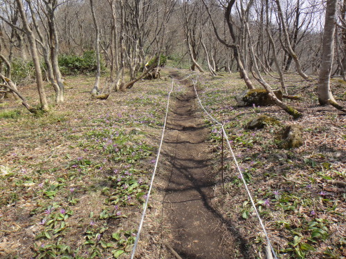 c0179351_16115530.jpg