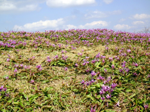 c0179351_16144810.jpg