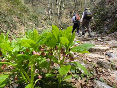 c0179351_162170.jpg