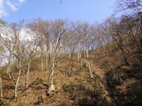 c0179351_162842100.jpg