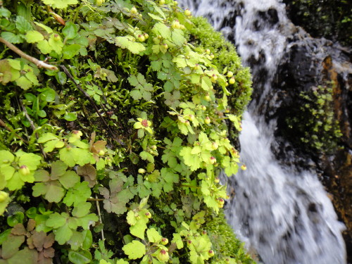 c0179351_16334381.jpg