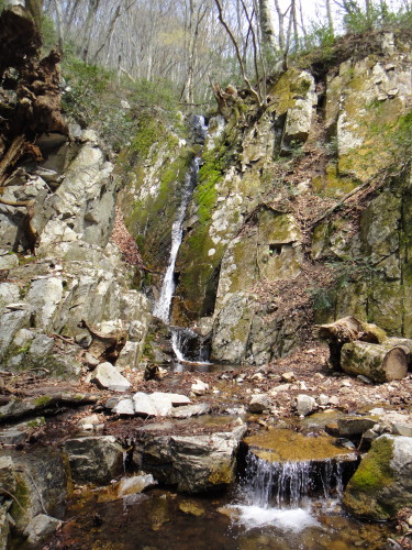 c0179351_169523.jpg