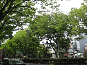 e0262651_2150484.jpg