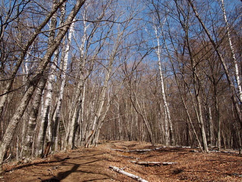 c0144868_0383598.jpg
