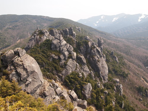 c0144868_116272.jpg