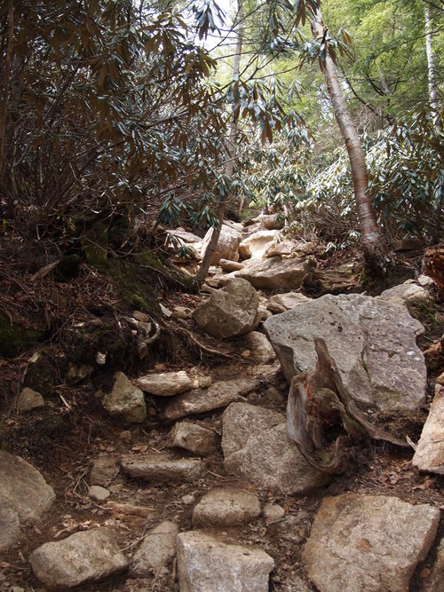 c0144868_135163.jpg
