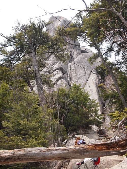 c0144868_144380.jpg