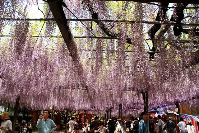 d0126577_20112882.jpg