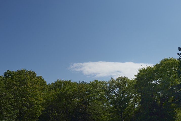 b0102780_4144787.jpg