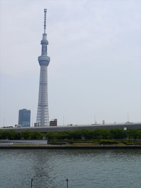 f0167281_18403560.jpg