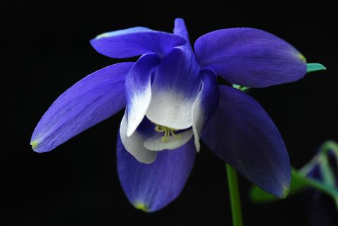 a0240085_152124.jpg