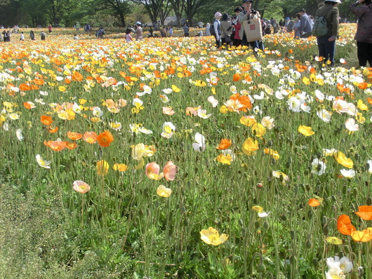 d0227686_0164399.jpg