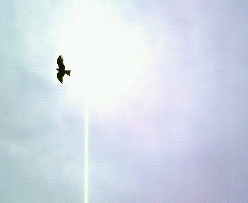 c0014187_046146.jpg