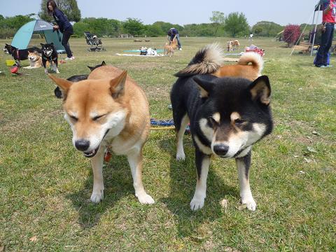 c0123890_215443.jpg