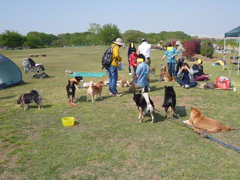c0123890_22524681.jpg