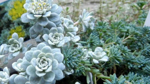 f0055192_1020126.jpg