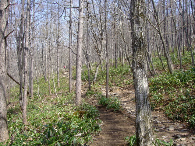 f0100593_14133984.jpg