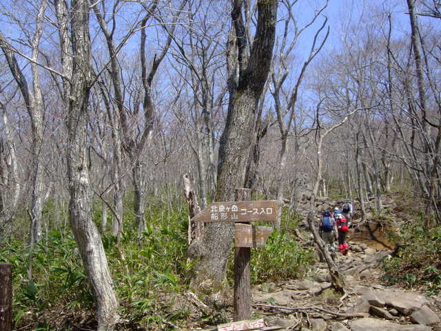f0100593_14134540.jpg