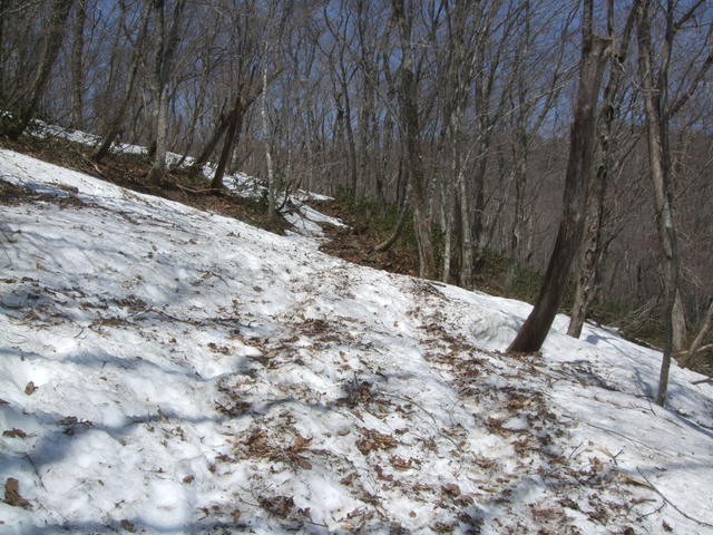 f0100593_14135939.jpg