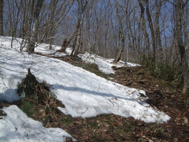 f0100593_14141060.jpg