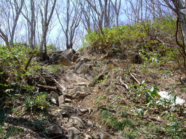 f0100593_14141597.jpg