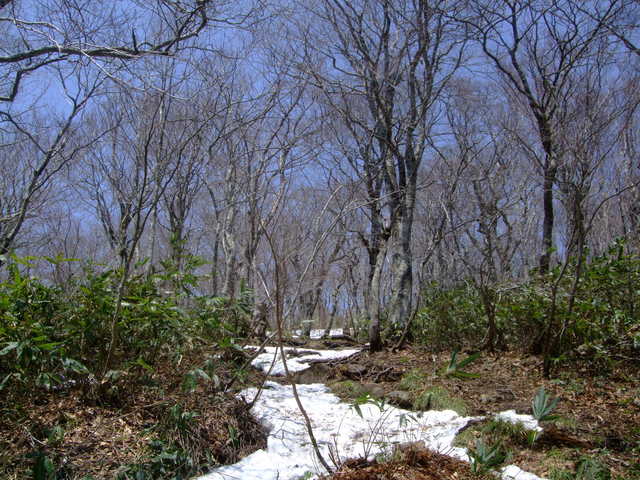 f0100593_1414213.jpg