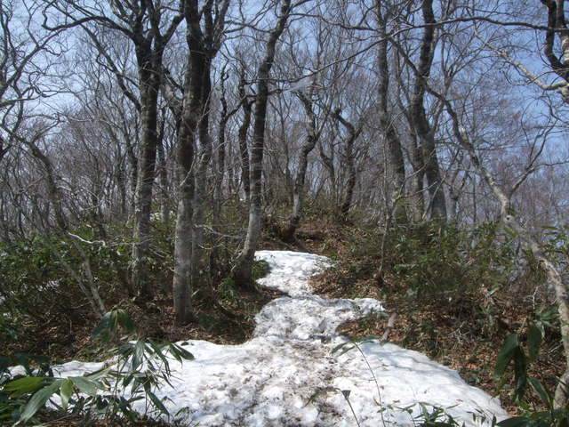 f0100593_14142616.jpg