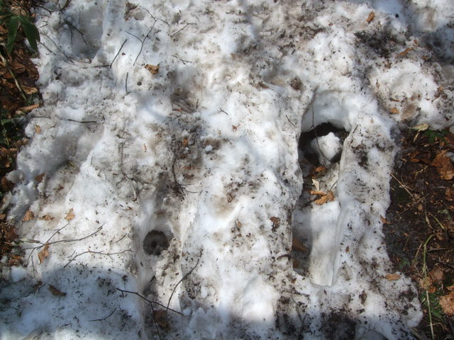 f0100593_14143296.jpg