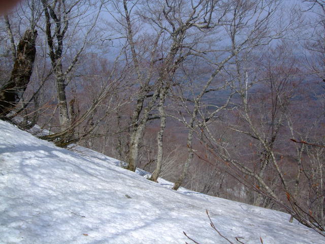 f0100593_14143740.jpg