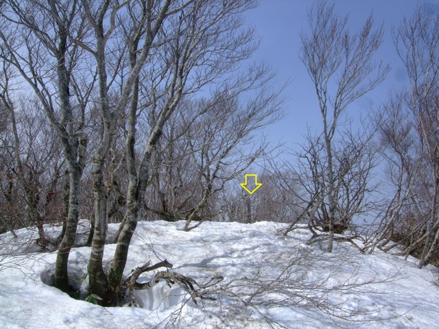 f0100593_14145285.jpg