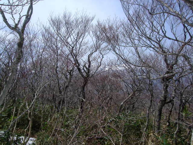 f0100593_14151654.jpg