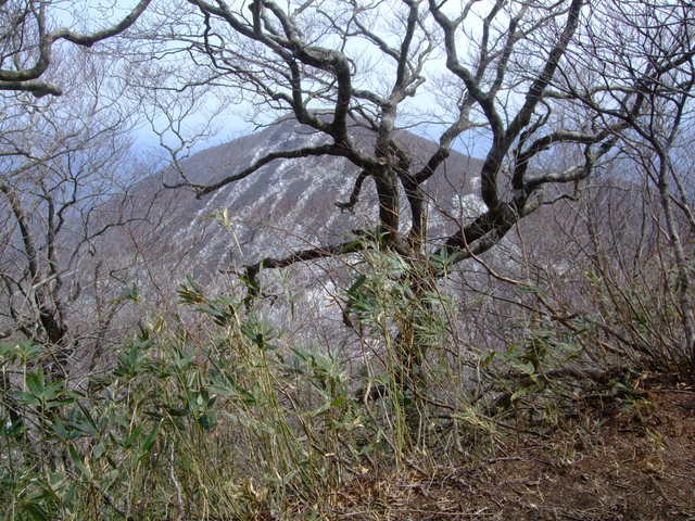 f0100593_14153951.jpg