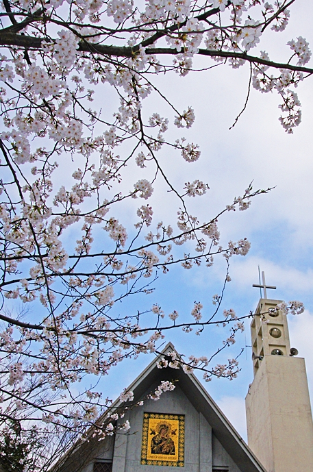b0145398_21363997.jpg